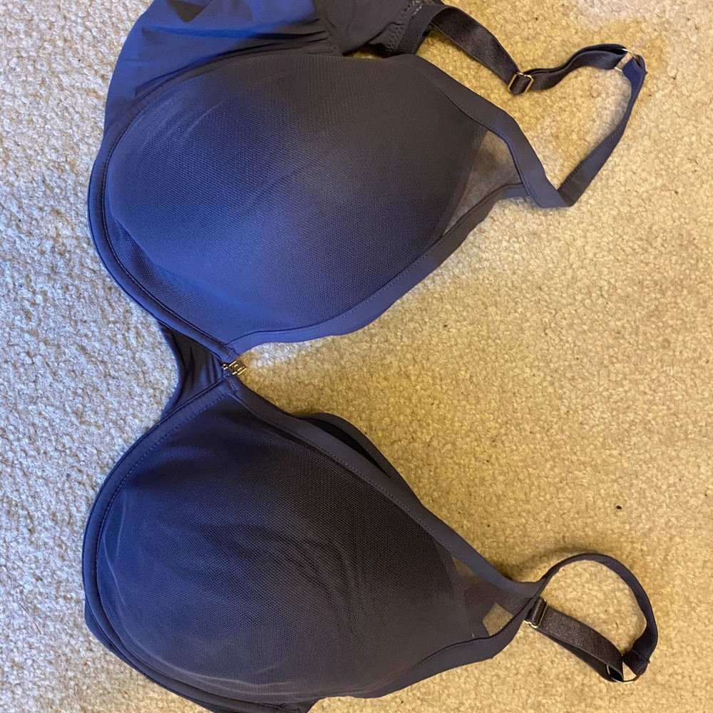 Blue Thirdlove Bra 38E